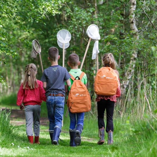 hoogtepunt Post haakje Natuuractiviteiten & excursies voor kinderen - It Fryske Gea